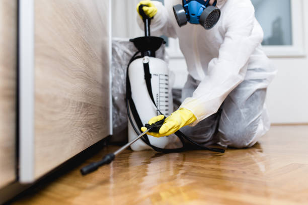 Best Bed Bug Extermination  in Beloit, WI