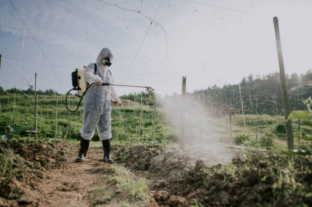 Best Ant Control Services  in Beloit, WI
