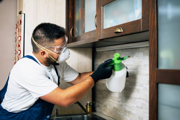 Best Cockroach Control Services  in Beloit, WI