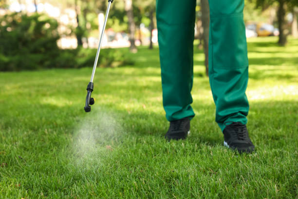 Reliable Beloit, WI Pest Control Solutions
