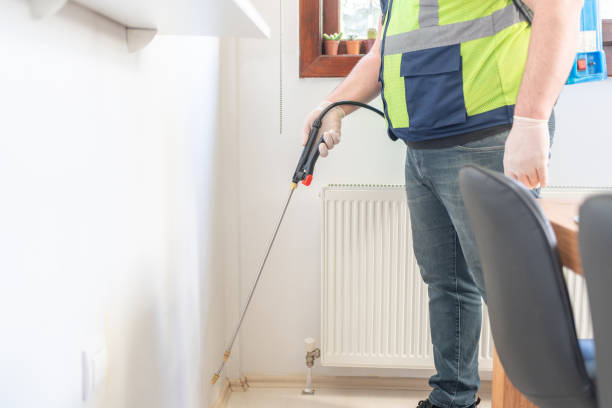 Best Ant Control Services  in Beloit, WI