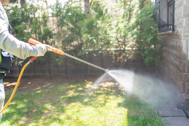 Best Local Pest Control Services  in Beloit, WI