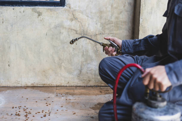 Best Wasp Removal Services  in Beloit, WI